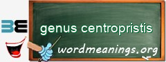 WordMeaning blackboard for genus centropristis